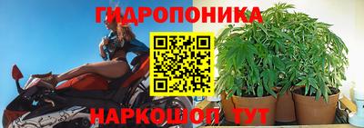 apvp Аргун