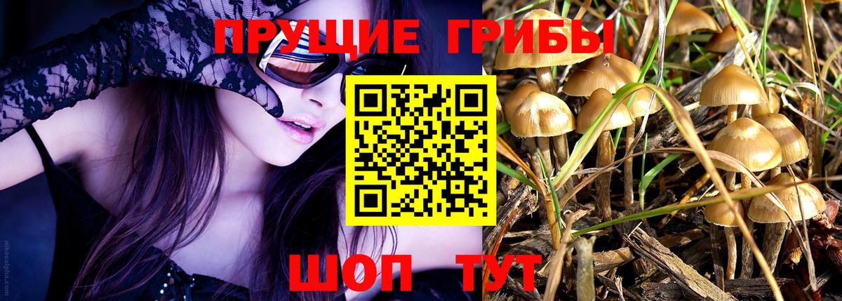 Псилоцибиновые грибы мицелий Беслан